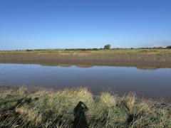River Parrett - near Dunball